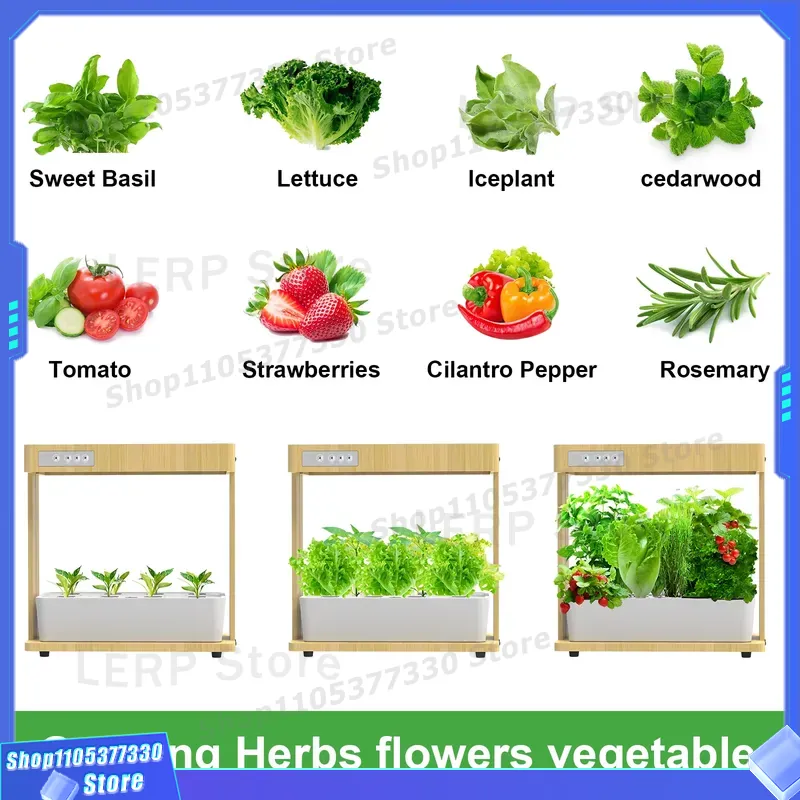 IGS-05 Smart Hydroponic Garden - Smart Garden Design 评论和价格