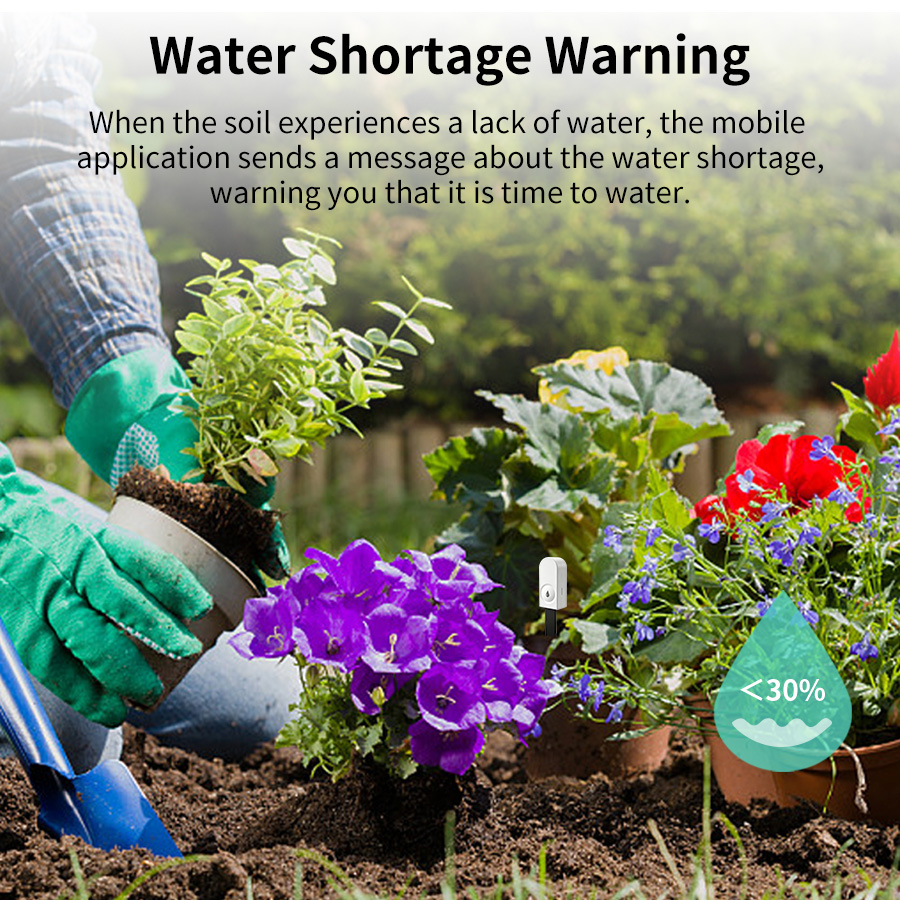 Zigbee 3.0 Smart Soil Moisture - Smart Garden Zigbee 评论和价格