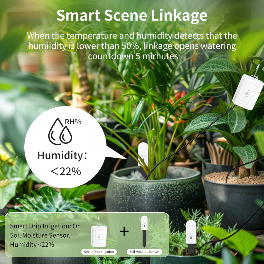 Smart Zigbee 3.0 Soil Tester H - Smart Garden Zigbee 评论和价格