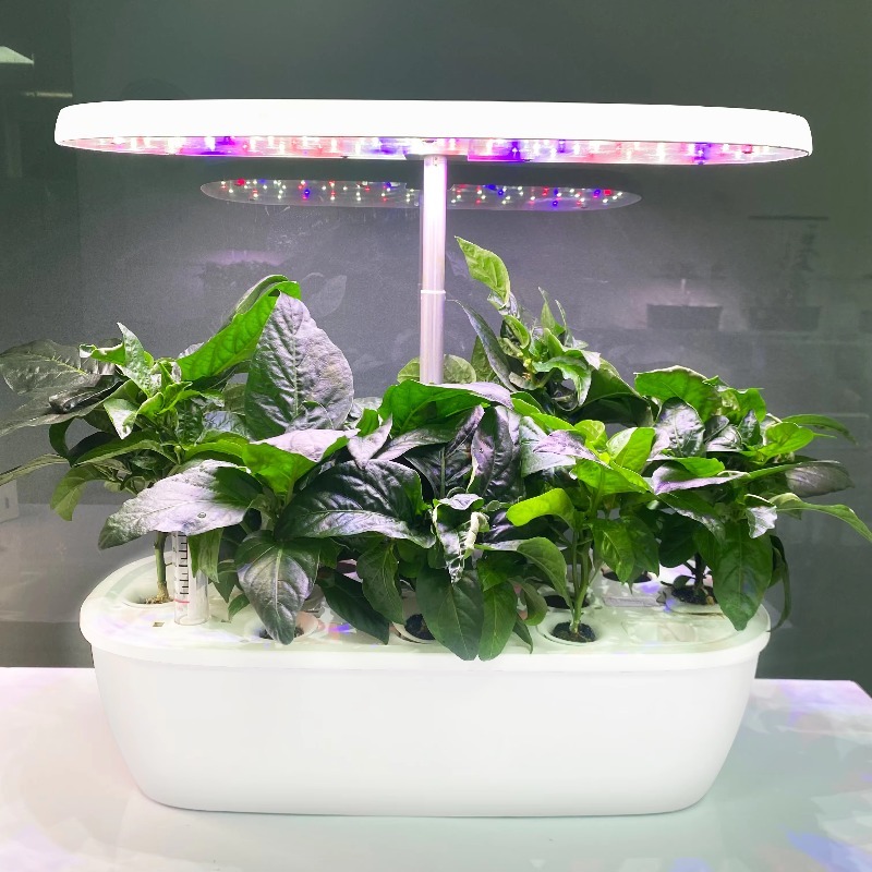Smart Electronic Indoor Hydrop - Smart Garden Design 评论和价格