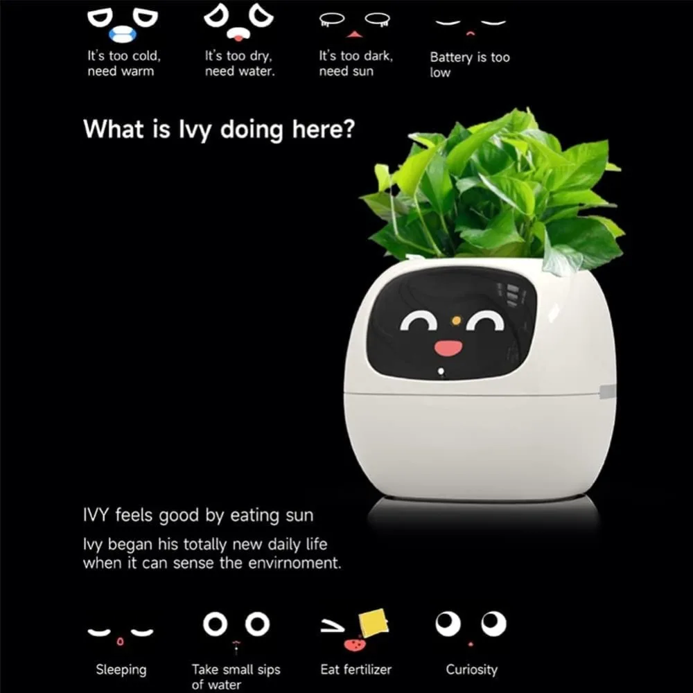 Smart Flowerpot with AI Chip 7 - Smart Garden Offices 评论和价格